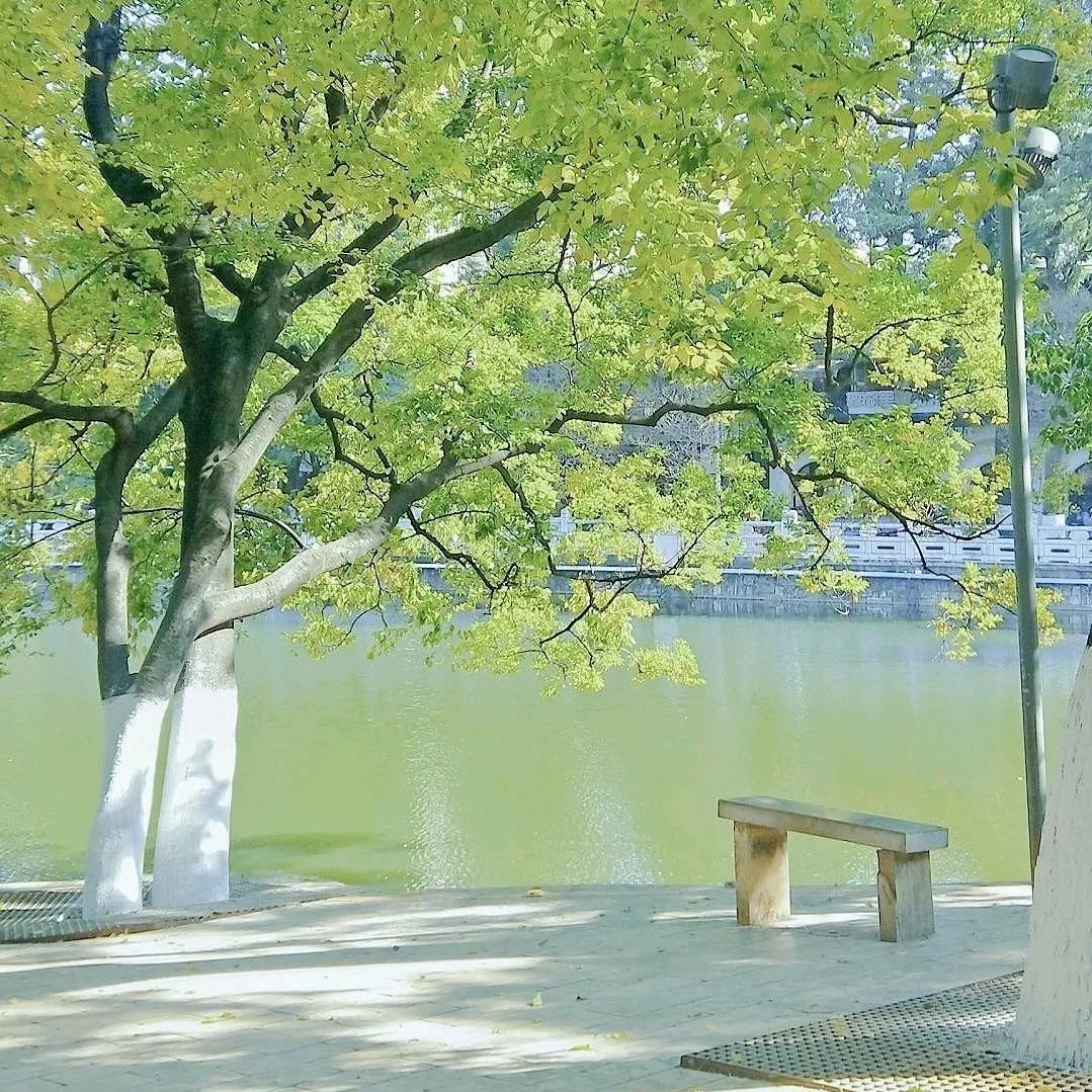 若水清风呀