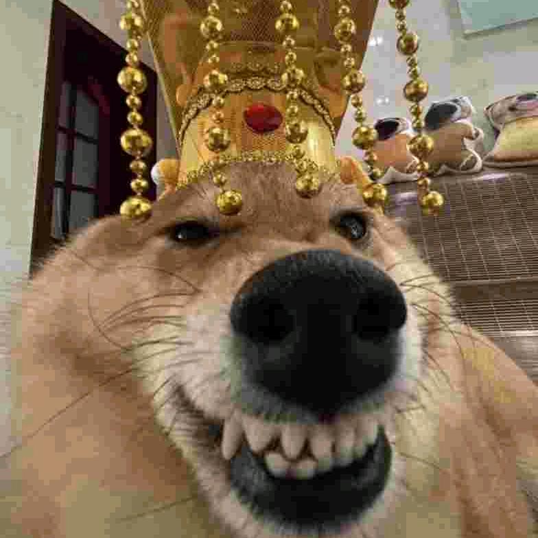 吕明显