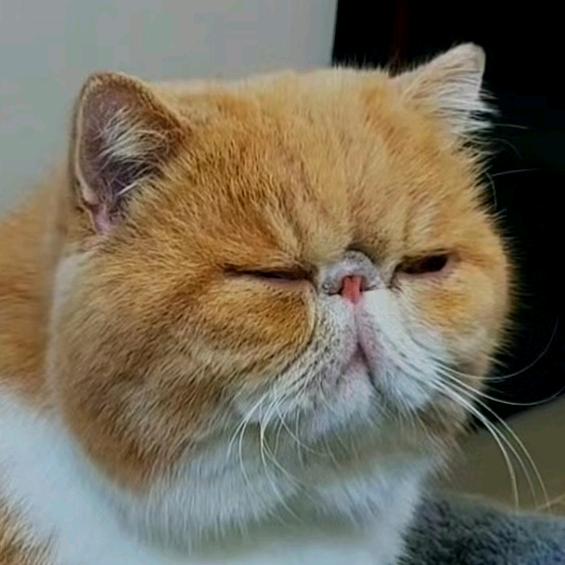 JsYao耀👊🏻🦊