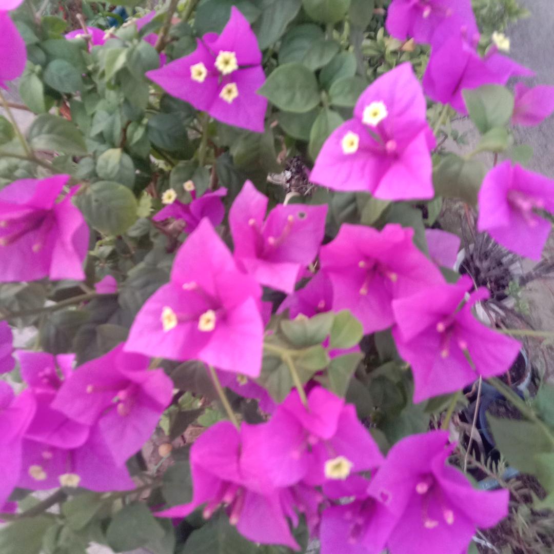 不想说话，拒绝 私聊