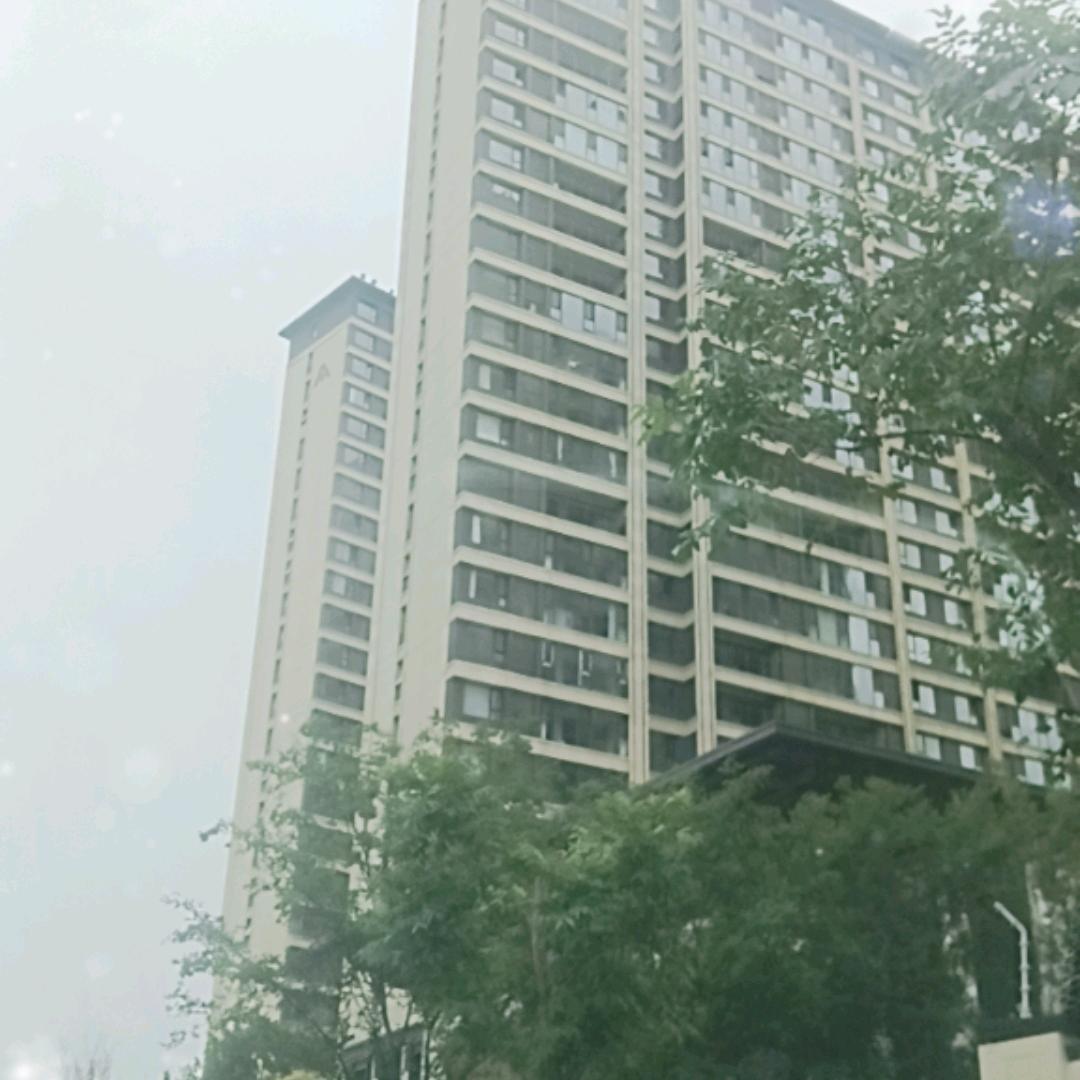 奋发图强
