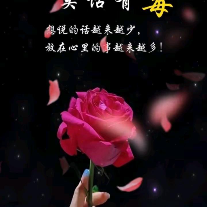 糖🍬糖