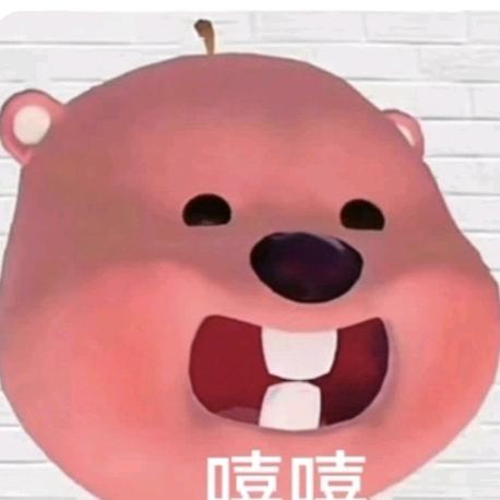 一只猫饱宝