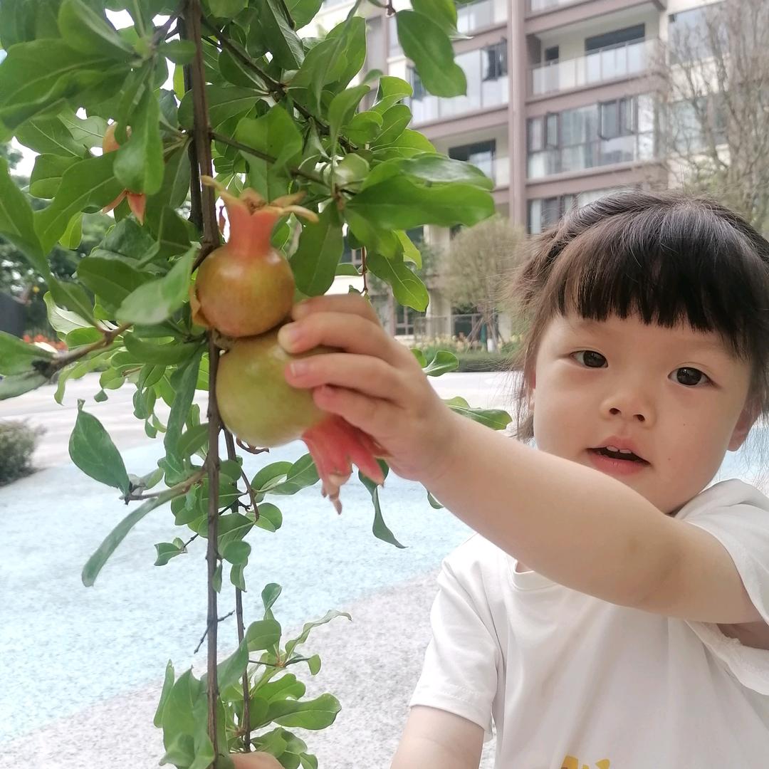 王二姐