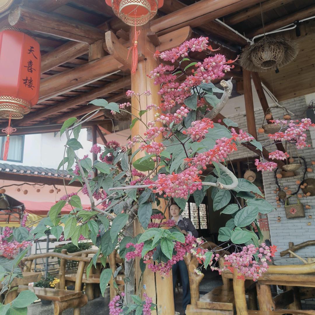 语气决定你事业的高度