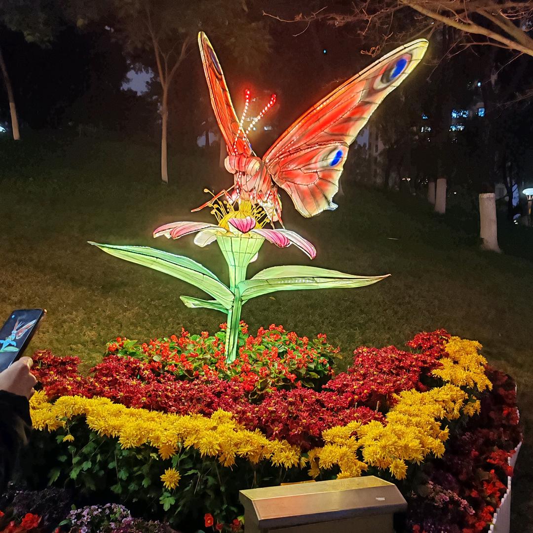 🦋💫余生好好爱自己🦋💫.