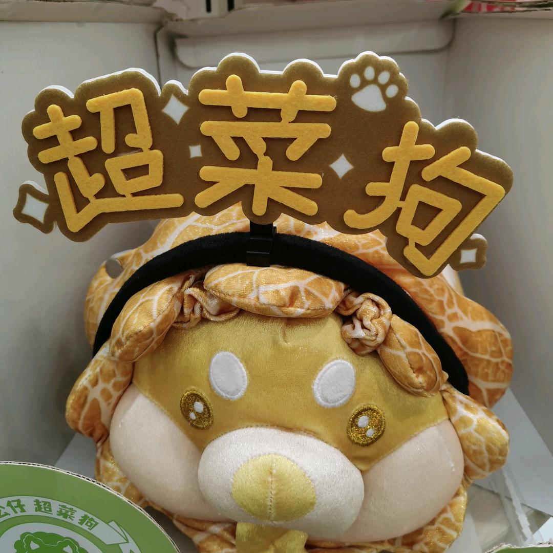 ꒰ঌ繁✩星꒰໒꒱