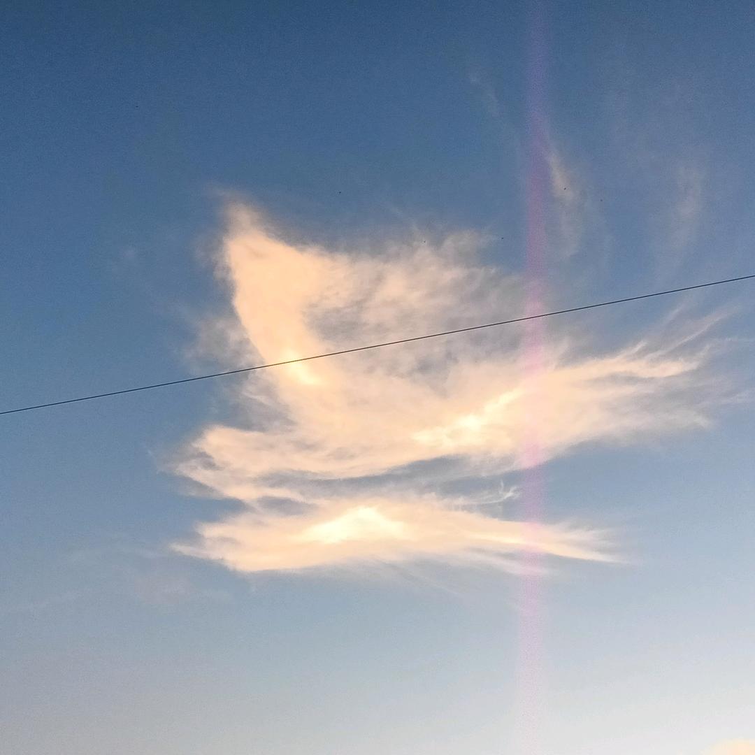 💪我丢你个⚽法海😍范