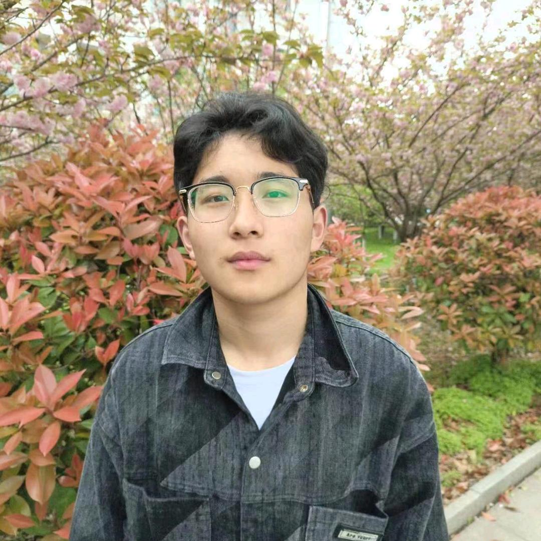 孤独的🐺