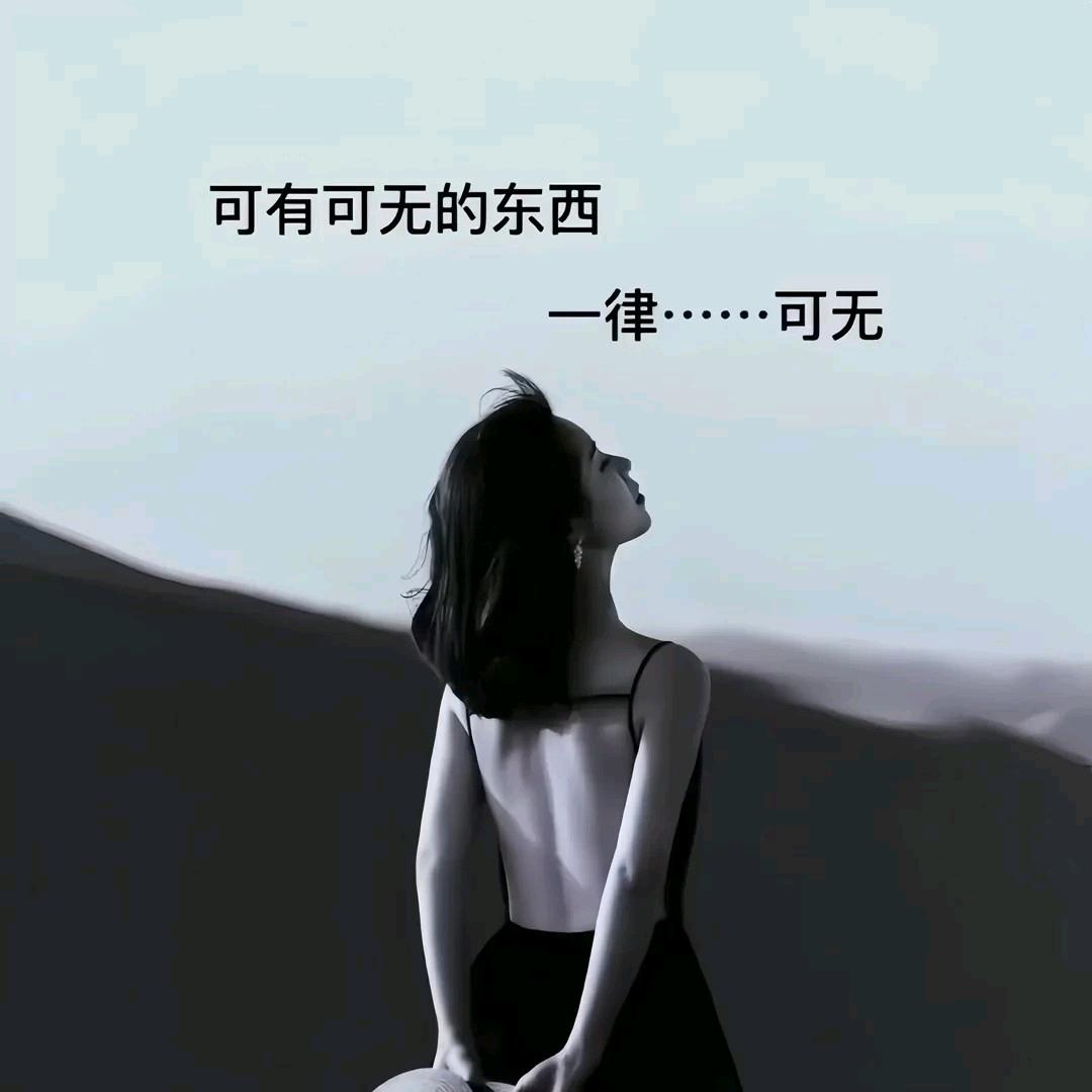 风中💗💗蒲公英