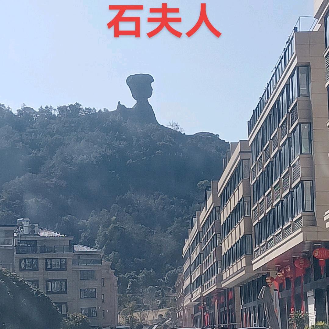 忍者