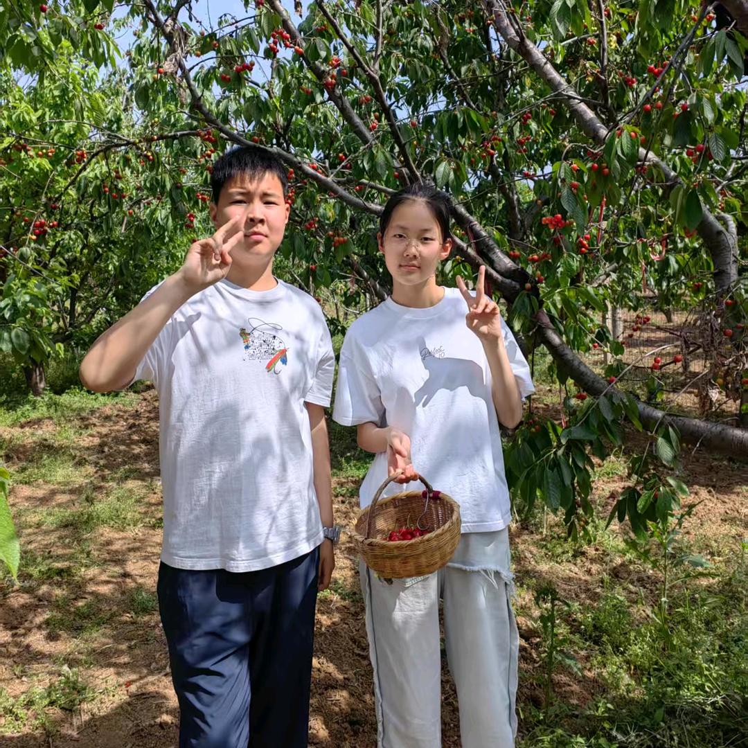 《废旧物资回收》