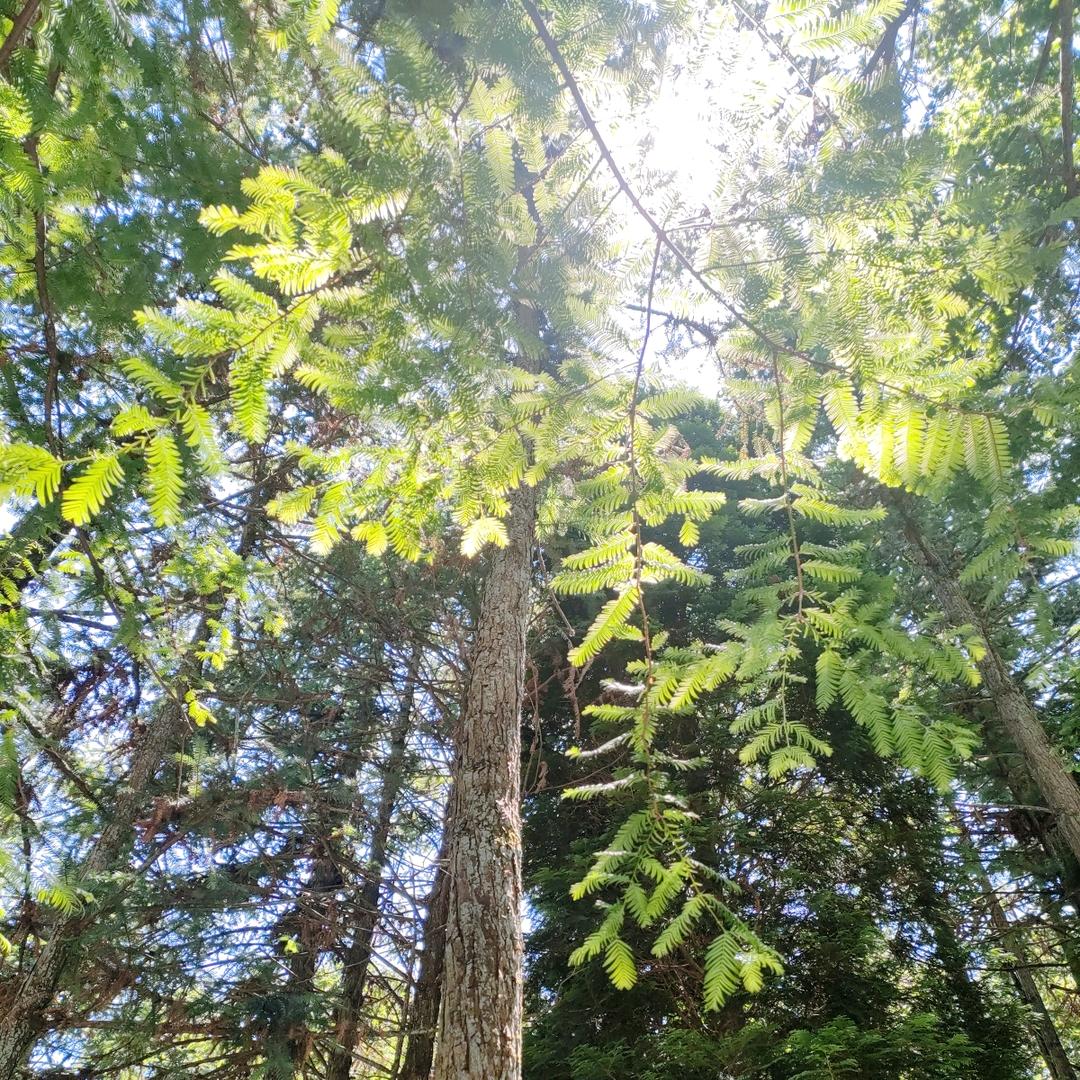 不负夏日不负卿