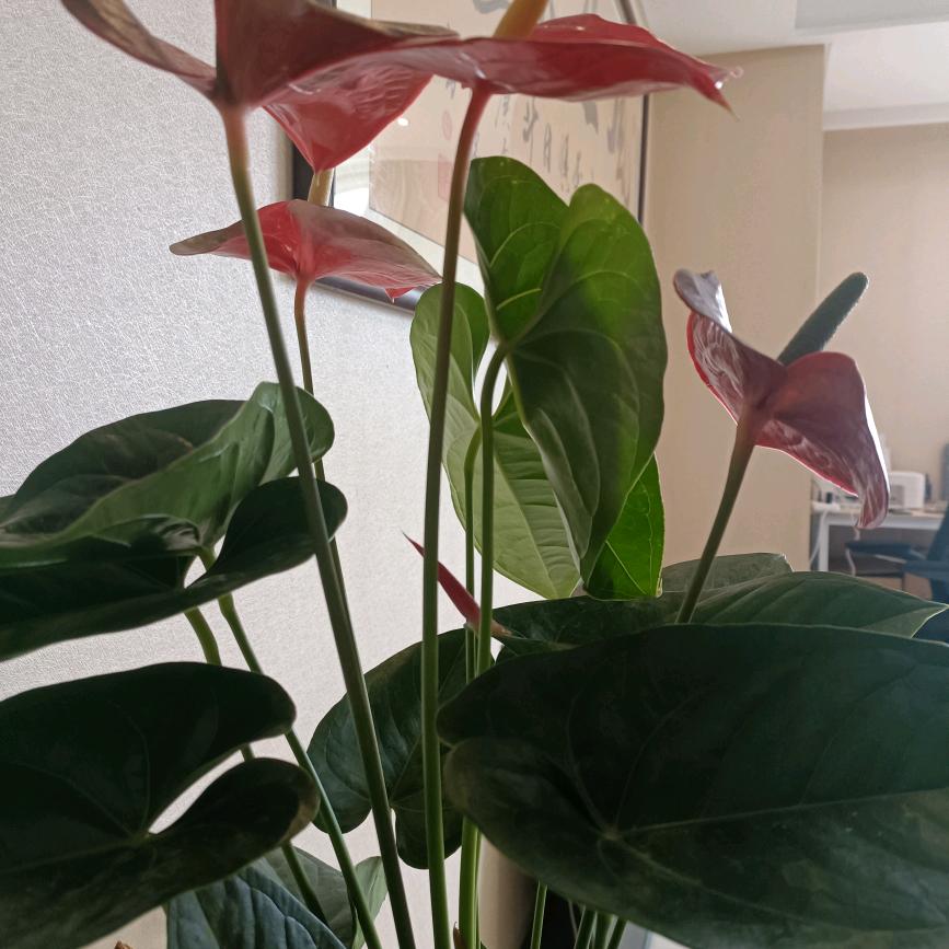 济南仁商控股