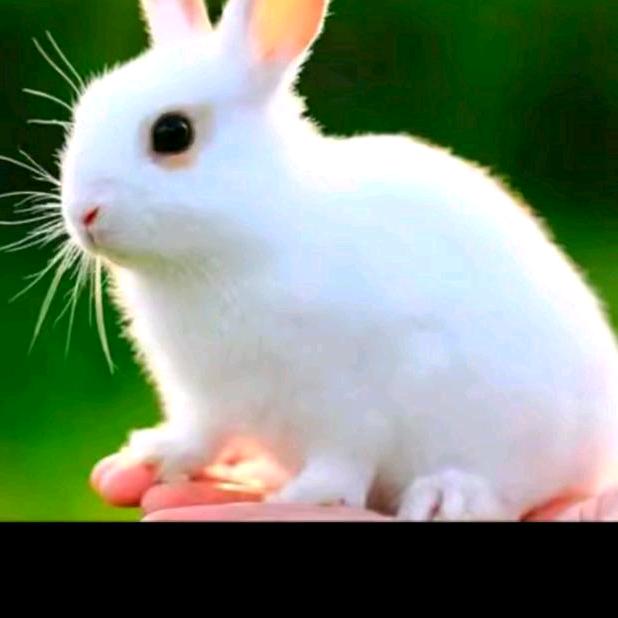 简单幸福就好✨🌹