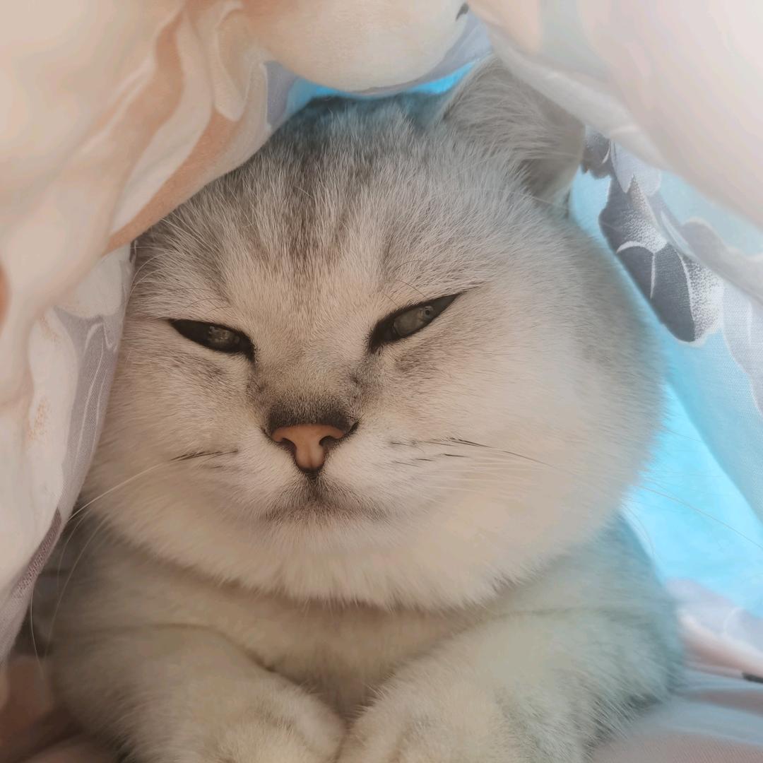 Wang x 的一亩三分地&