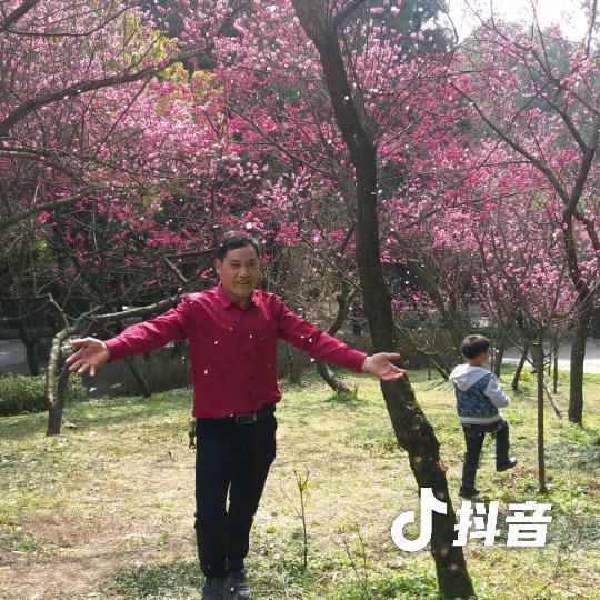 单身一人傅