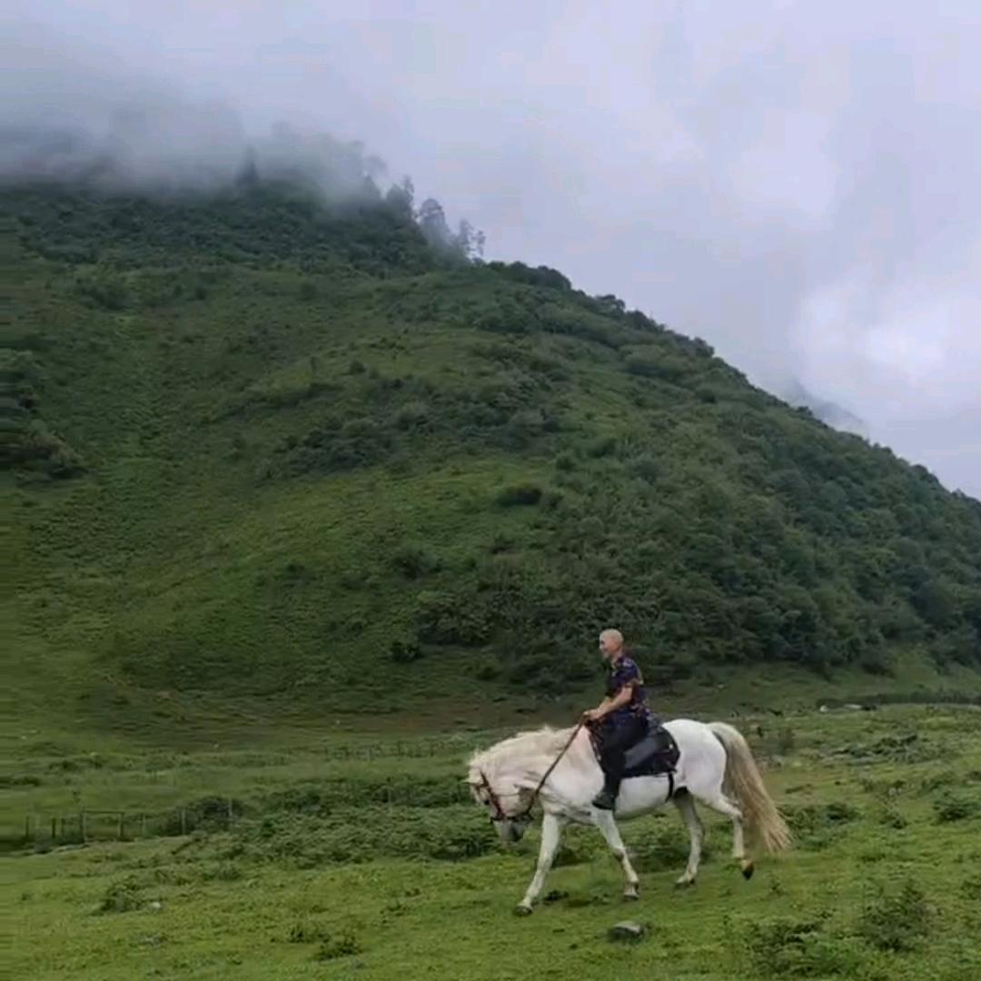 何 哥   看见您了