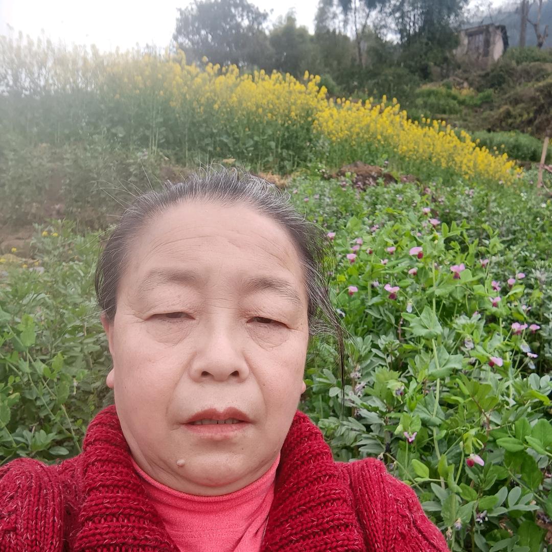 王承翠12点18分开首播