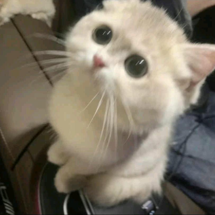 妄骨枯