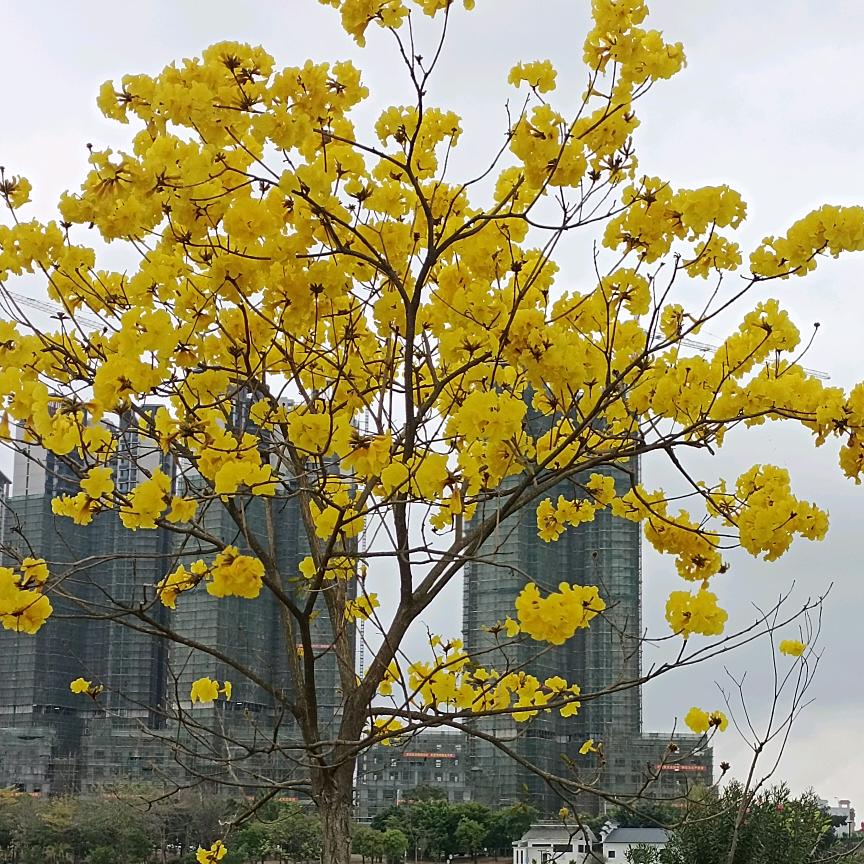 为你活一天