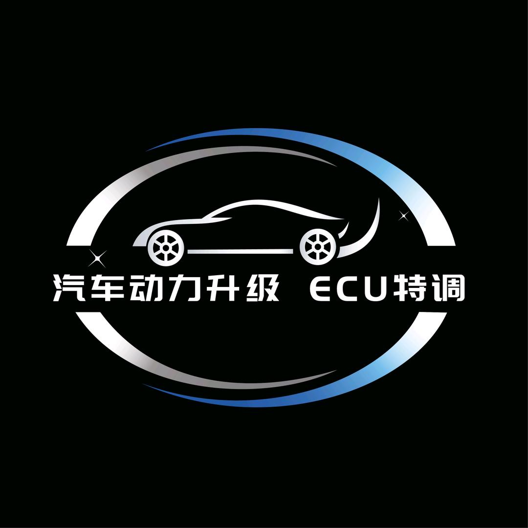 汽车动力升级，ECU电脑特调