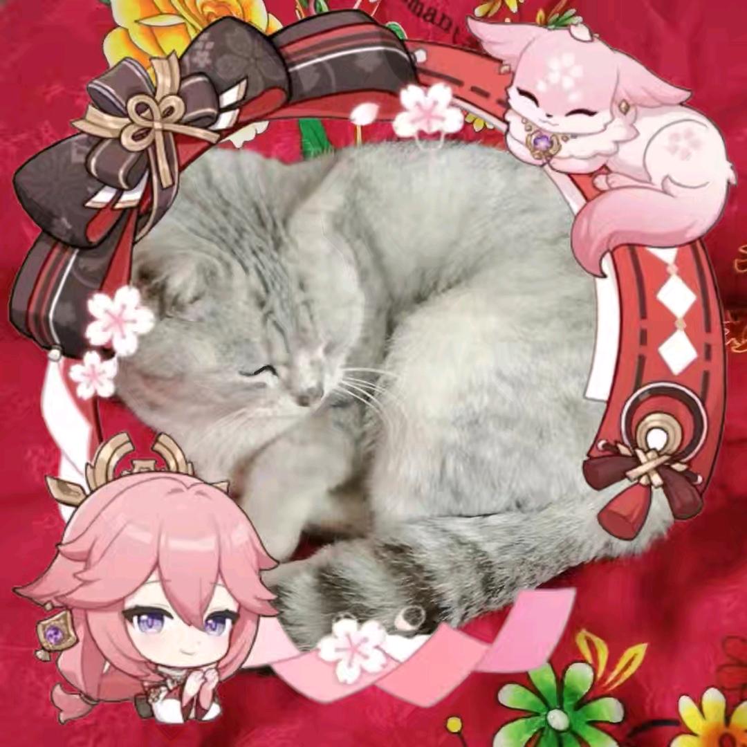 爷有爷的萌萌宝宝老婆