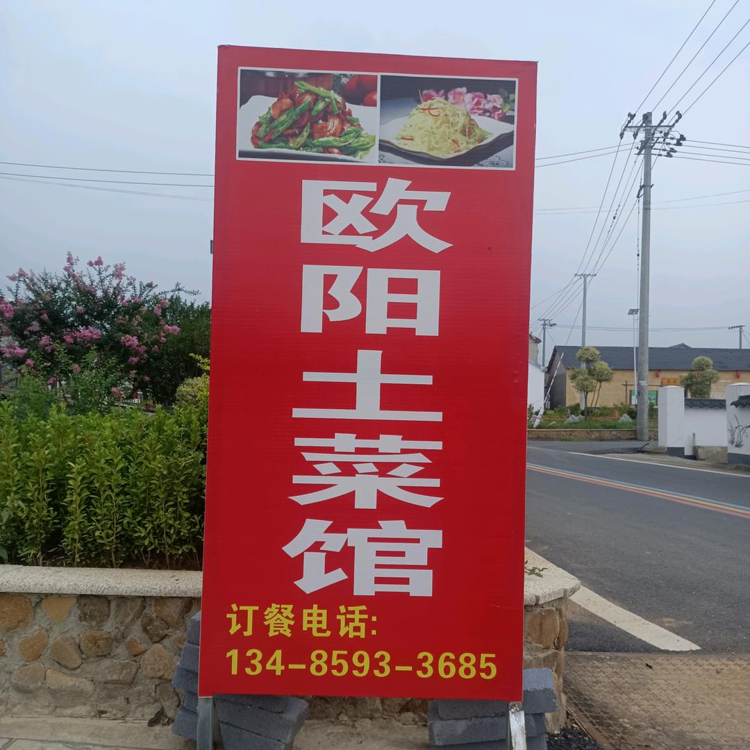 琴。