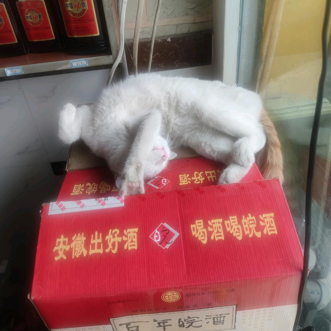 待定