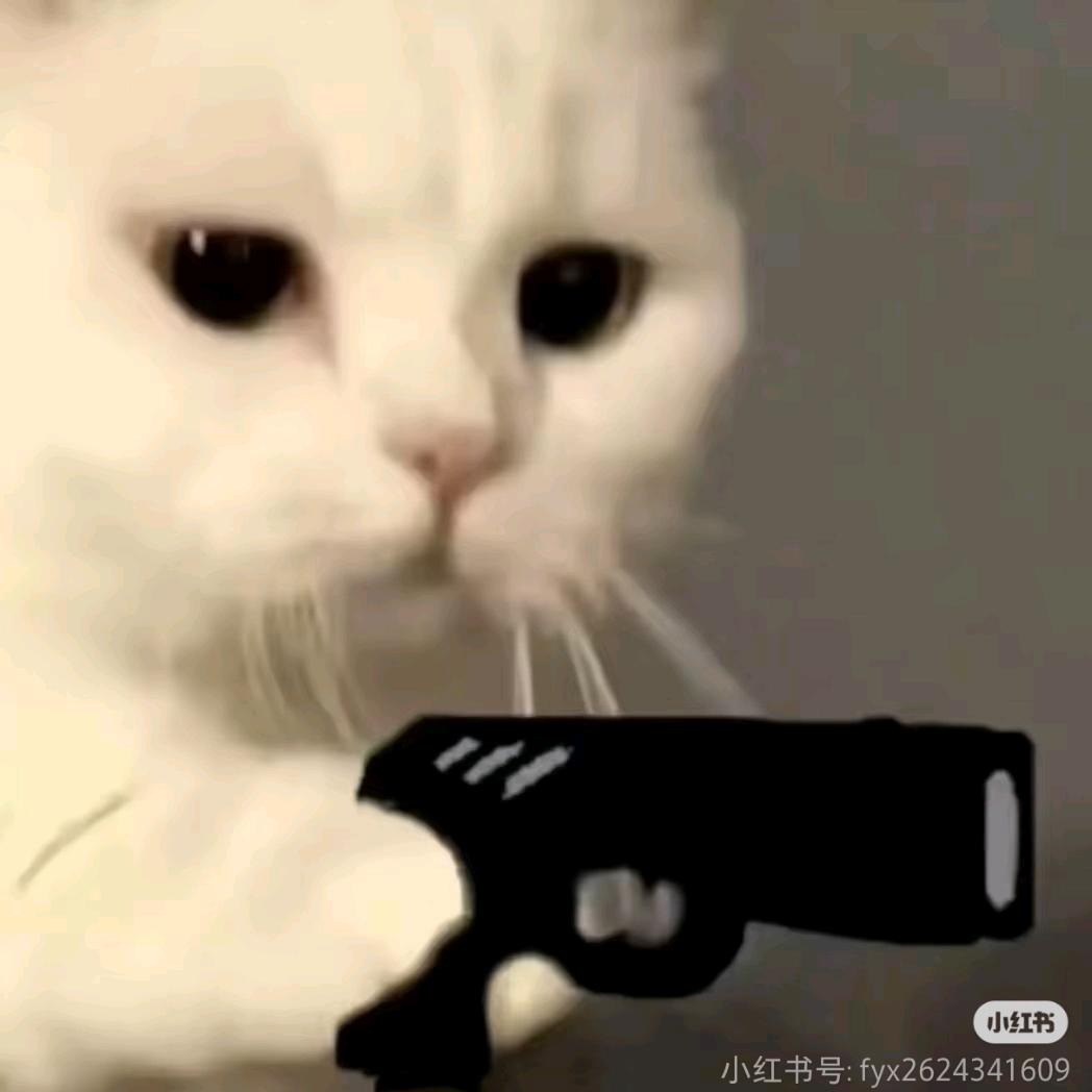 两只大王🐱
