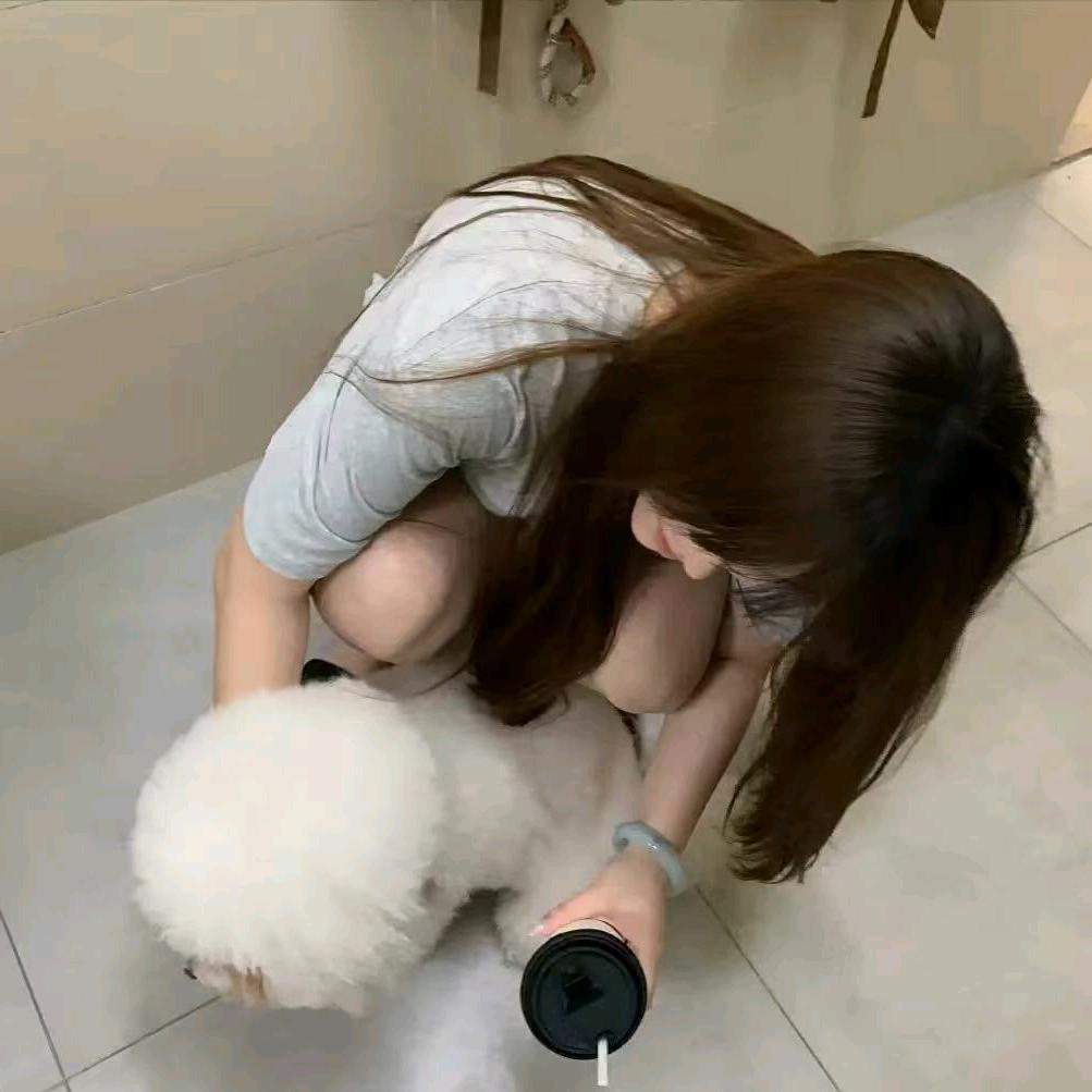 十七.