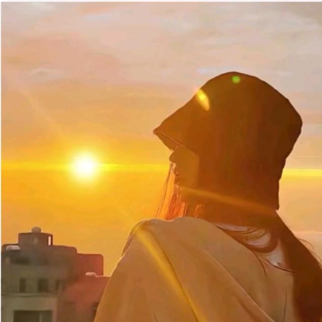 不吃芒果的小兔