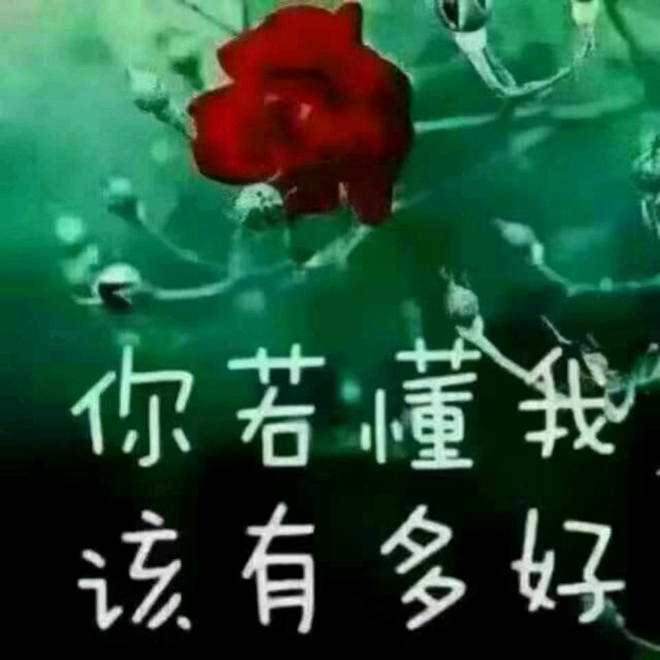 愿得一人心，白首不相离