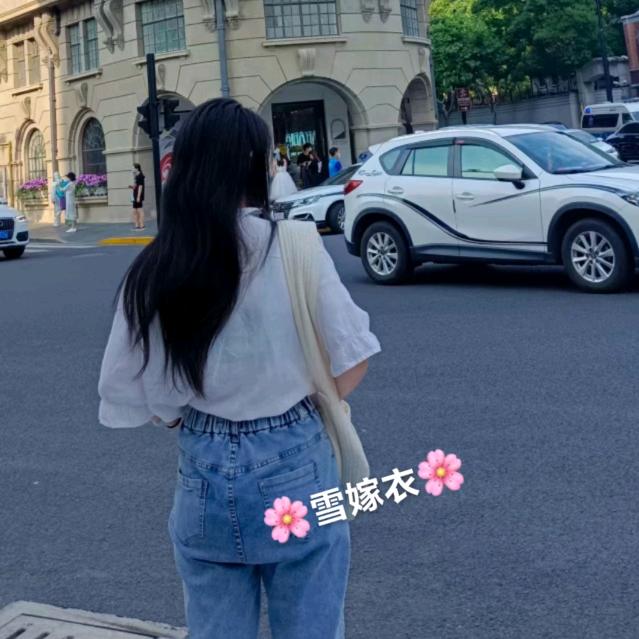 🐖🌙🌸雪嫁衣🌸💫🐖