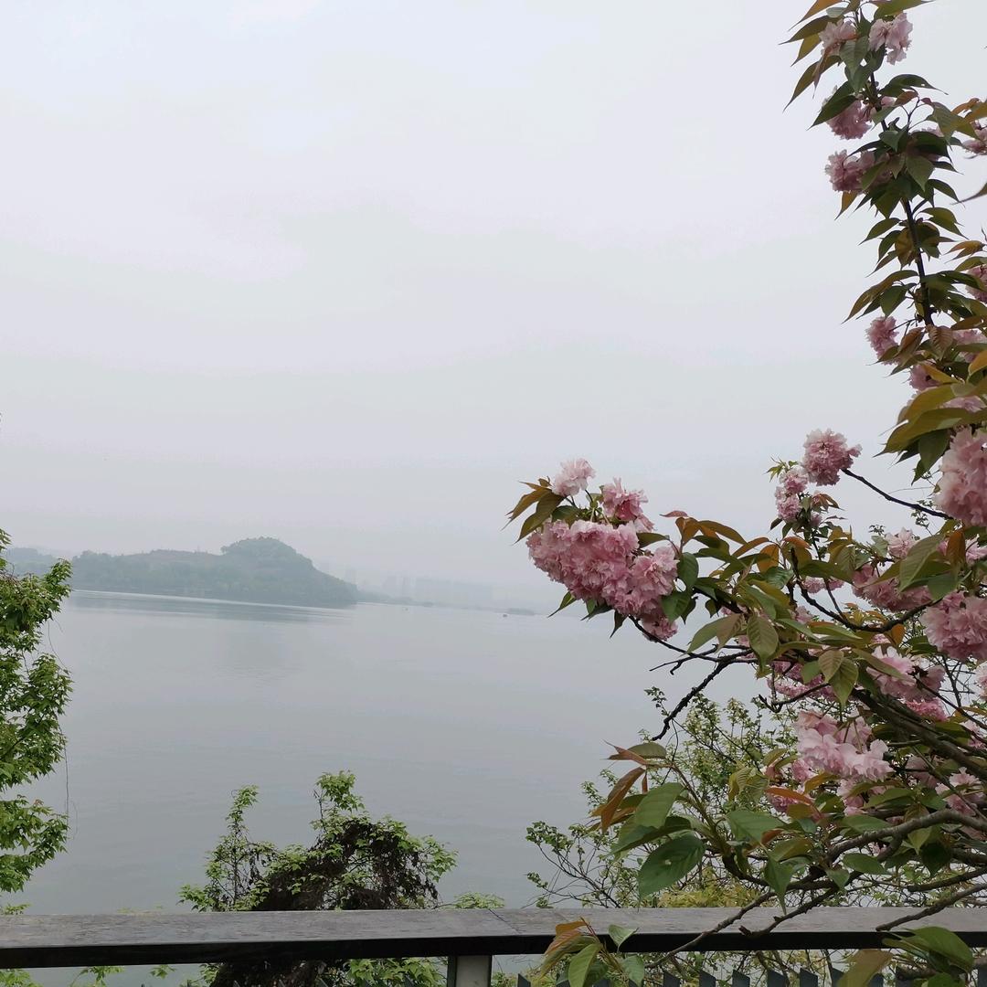 风雨阑珊