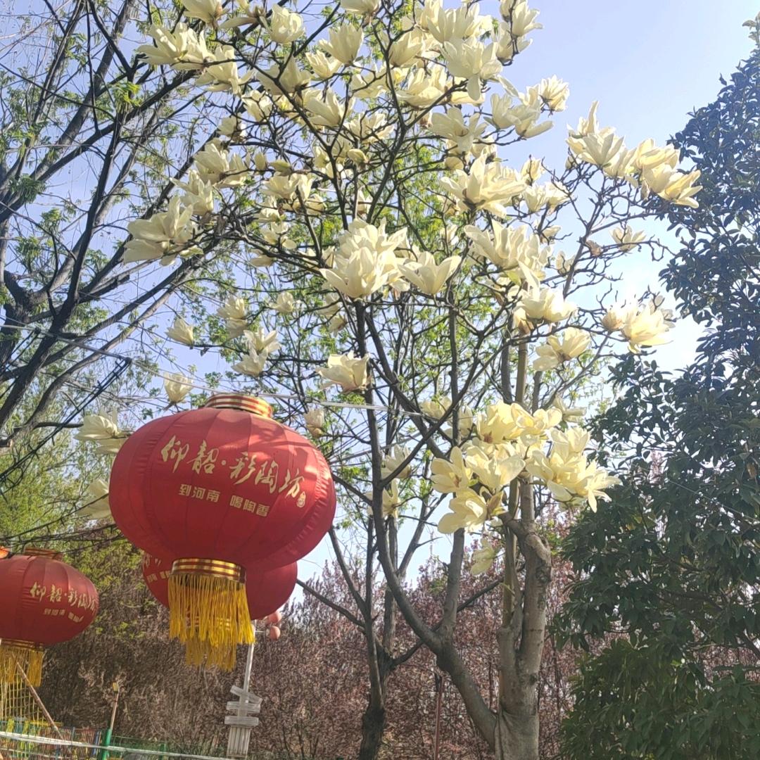 云哚
