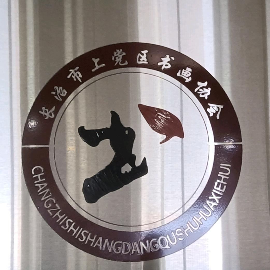 文盲学书法