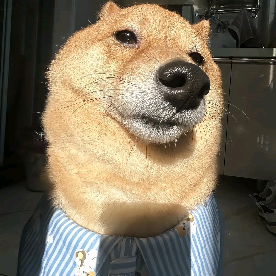 坚果王