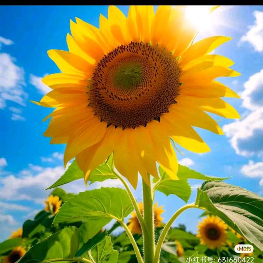 喜欢就点个关注