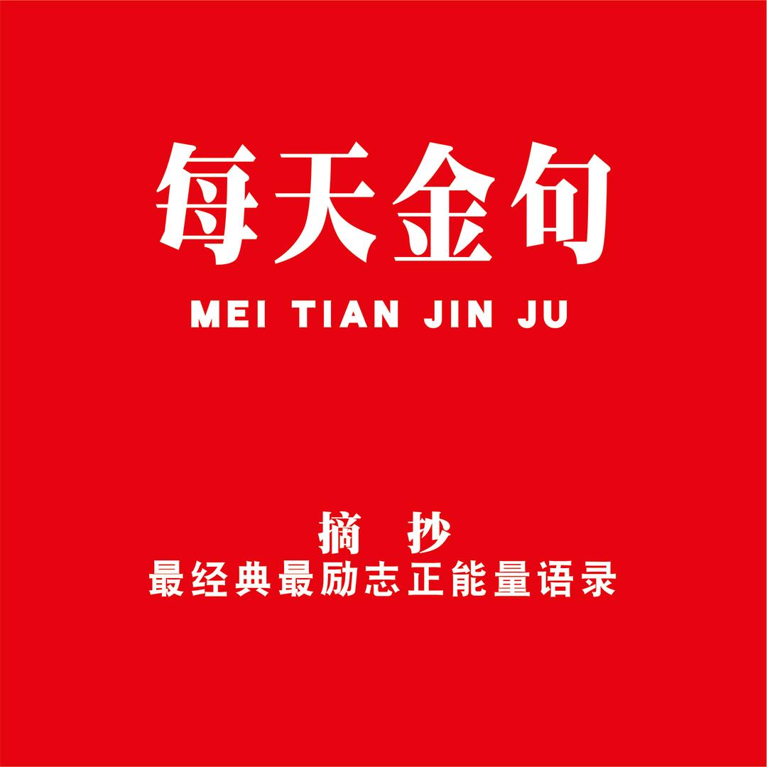 每天金句