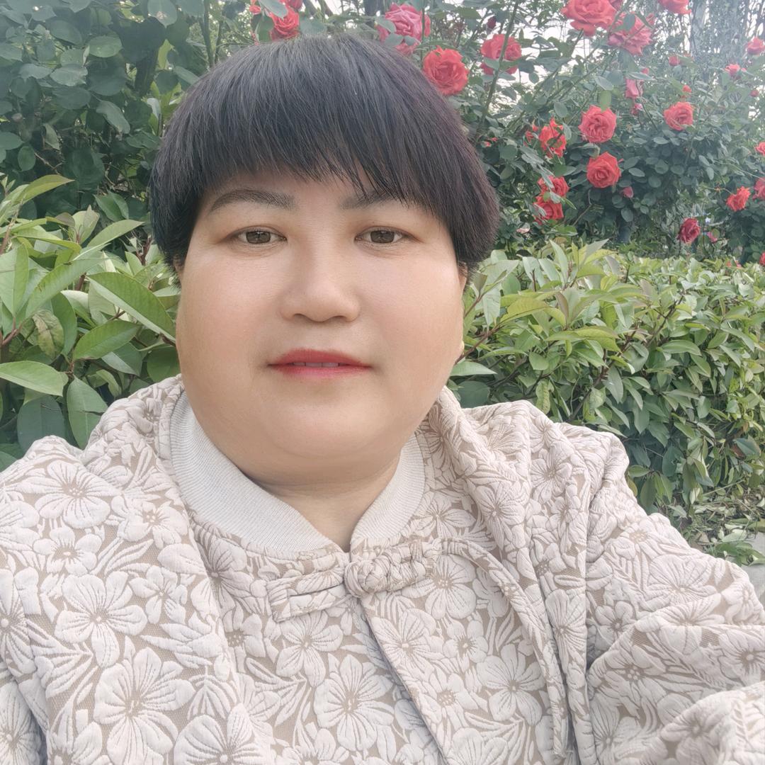 河南丽姐