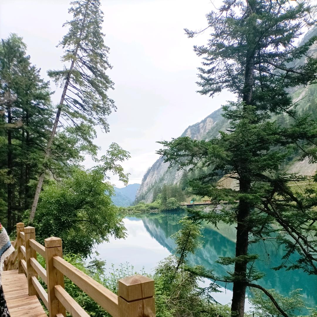 高山青水