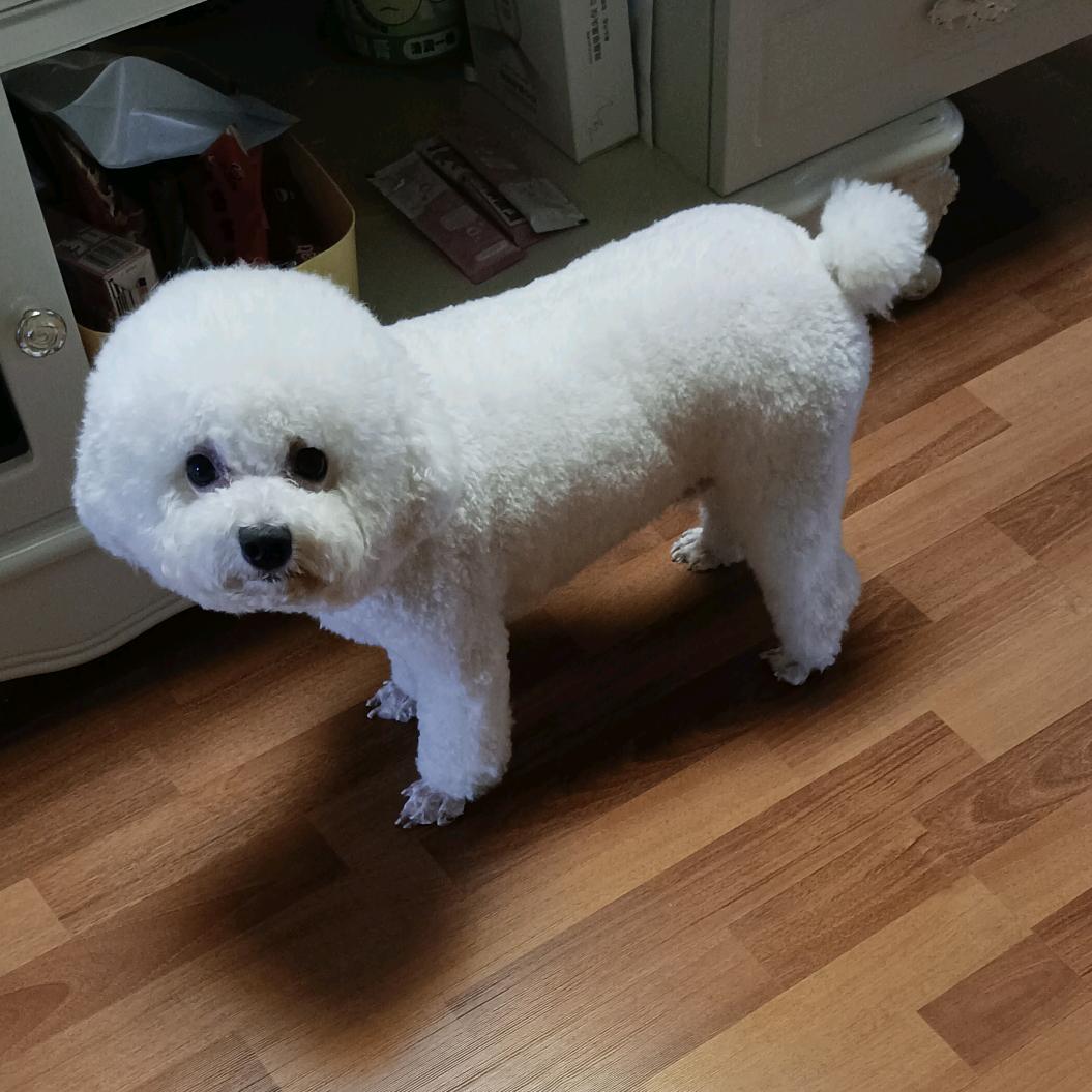 执着❤️