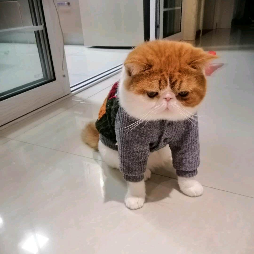 阿秋