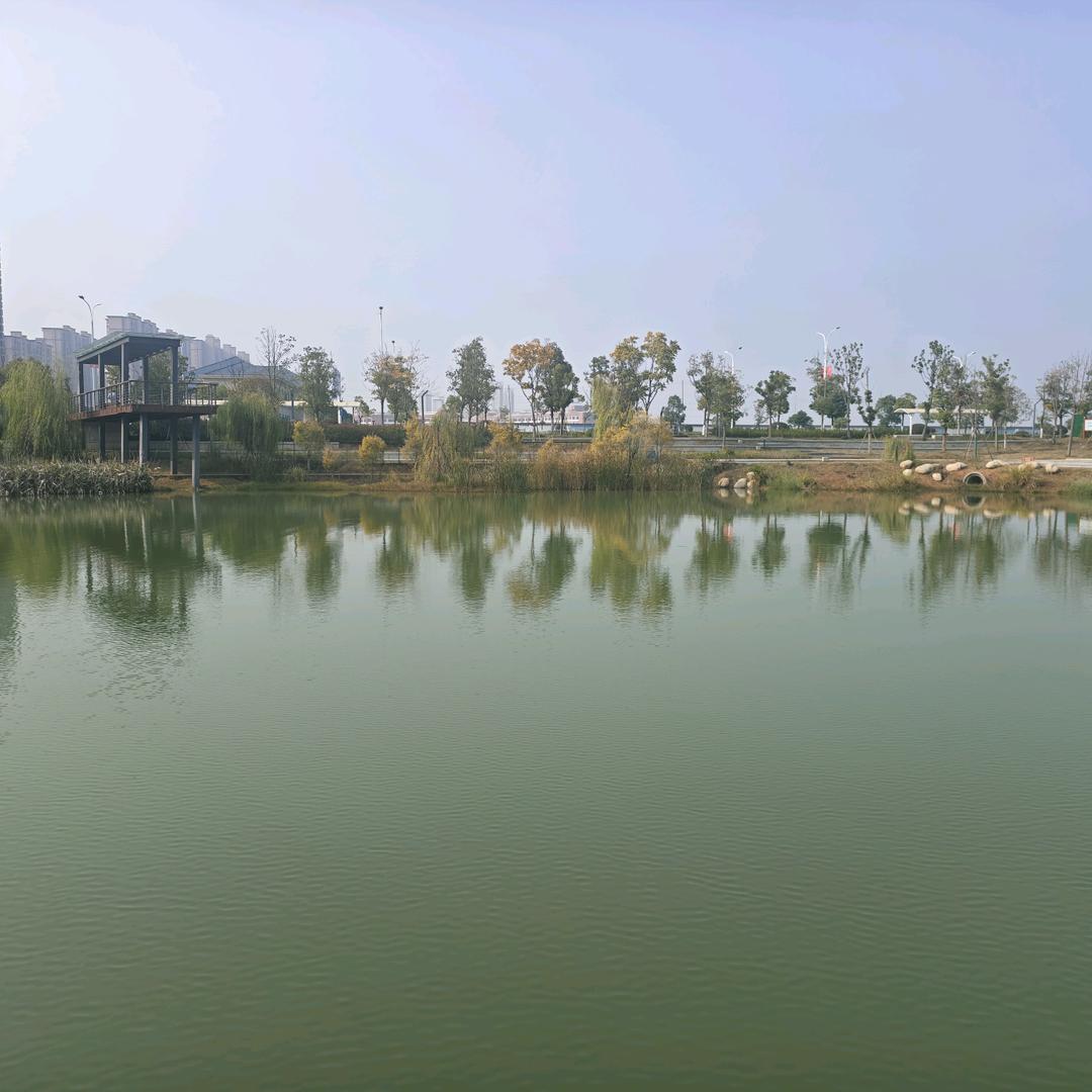 牛友请进（怡）