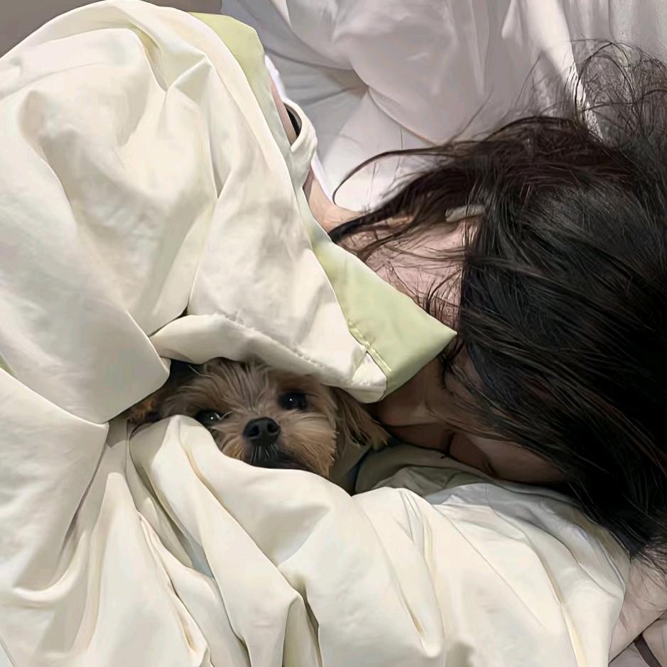 橘柚.