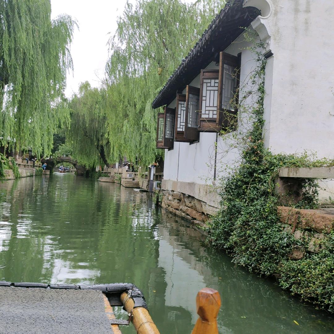 爱上你的名