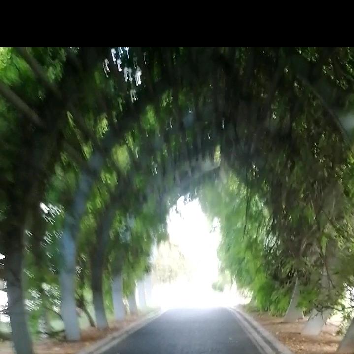 AAAAA