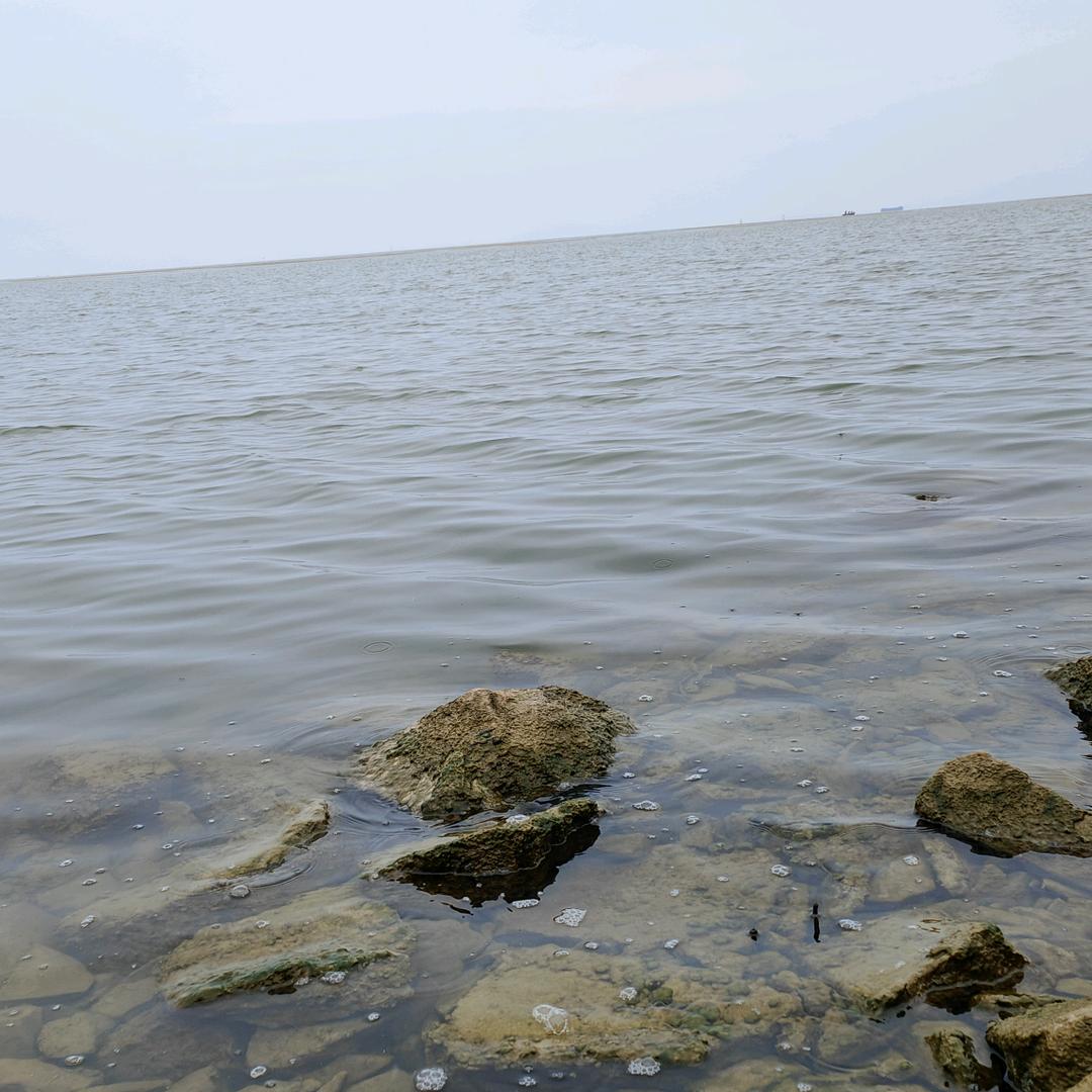 海外一对一倾诉