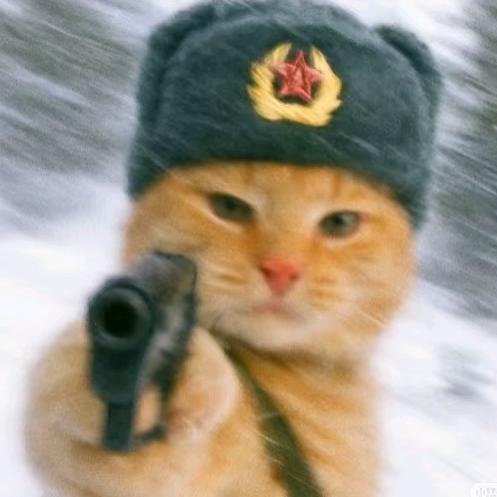 拒绝